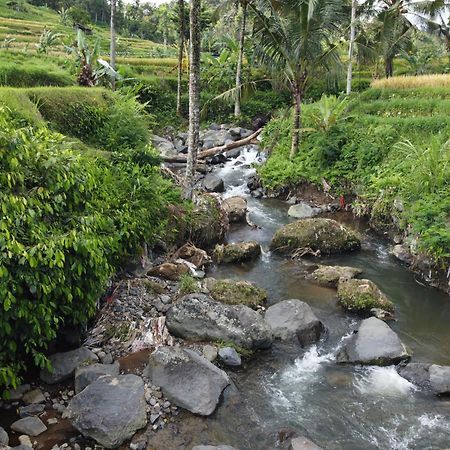 Graha Ayoe Villa Sidemen  Luaran gambar