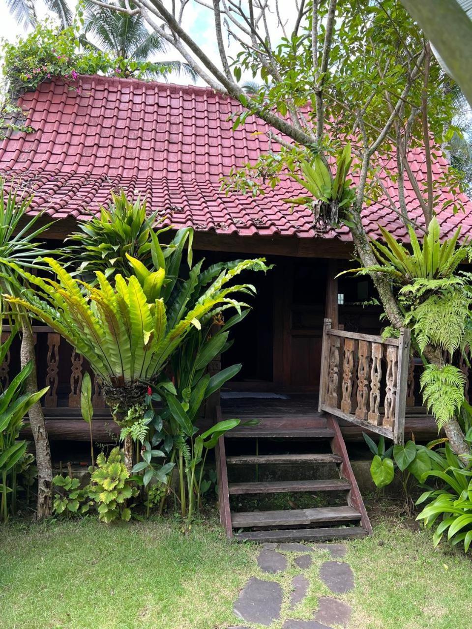 Graha Ayoe Villa Sidemen  Luaran gambar